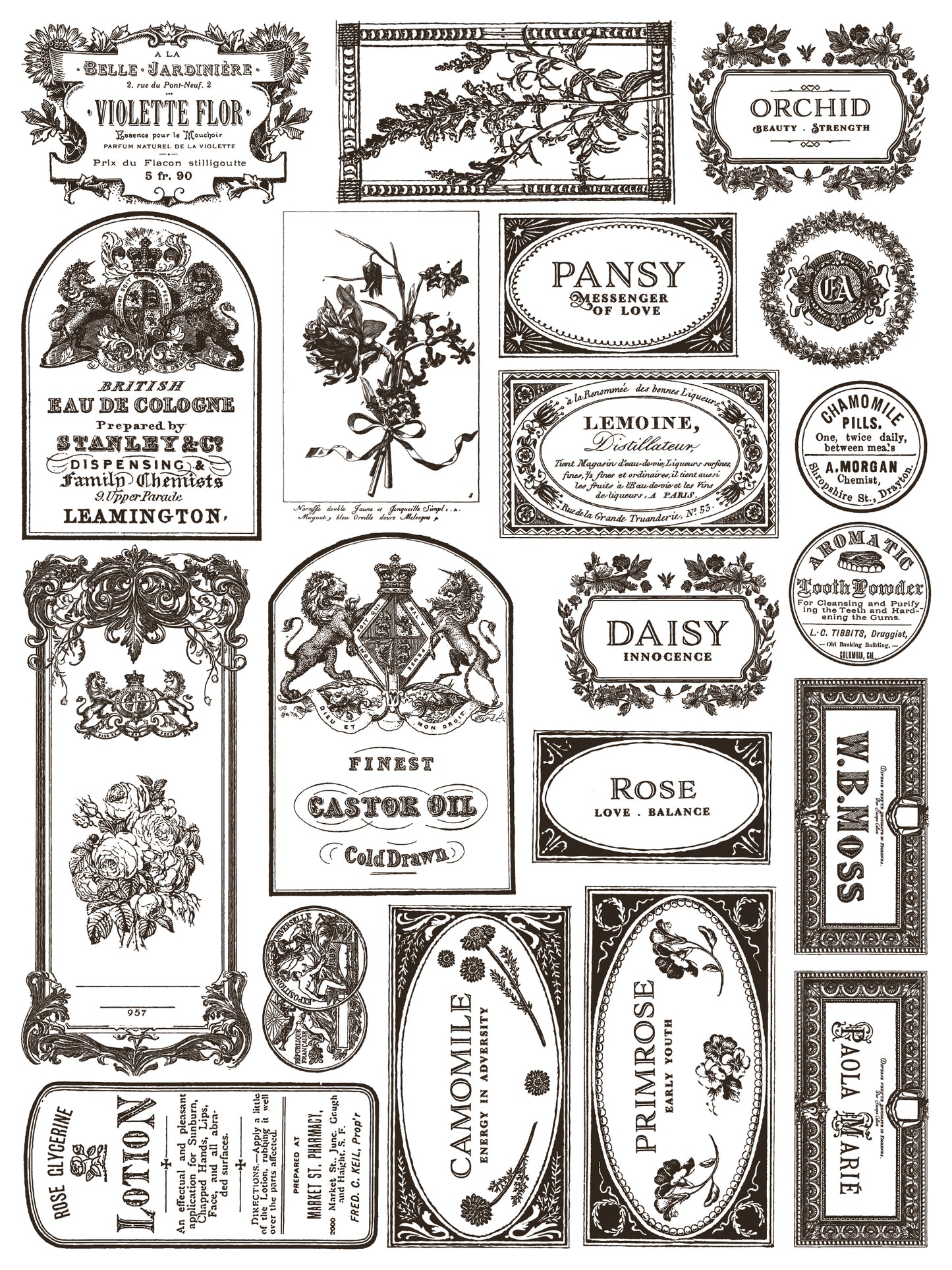 Iron Orchid Designs - Floriography Paint Inlay