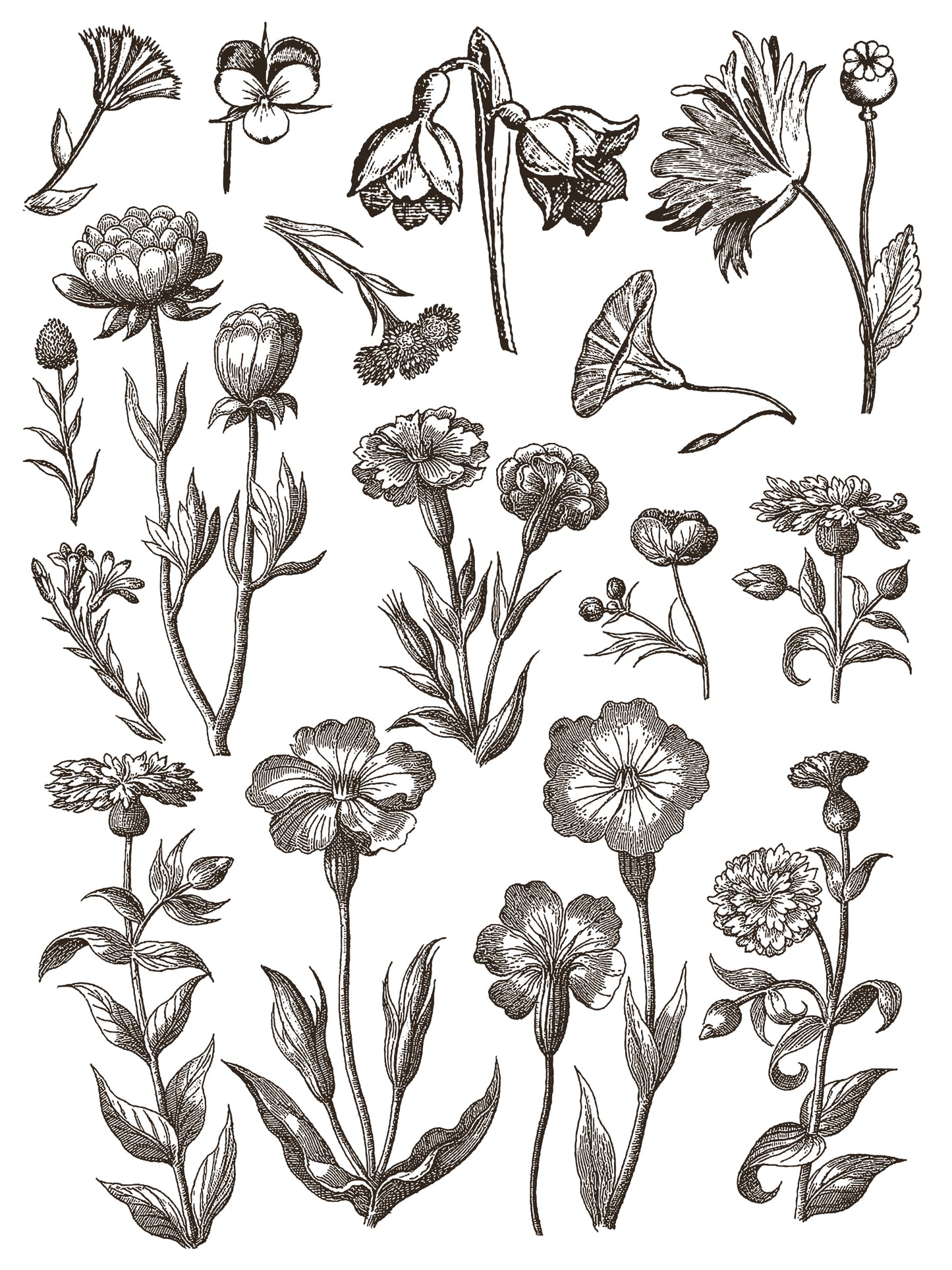 Iron Orchid Designs - Floriography Paint Inlay