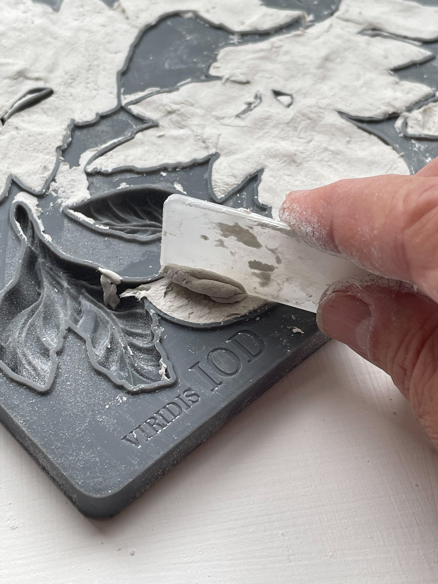 Iron Orchid Designs - Viridis Decor Mould