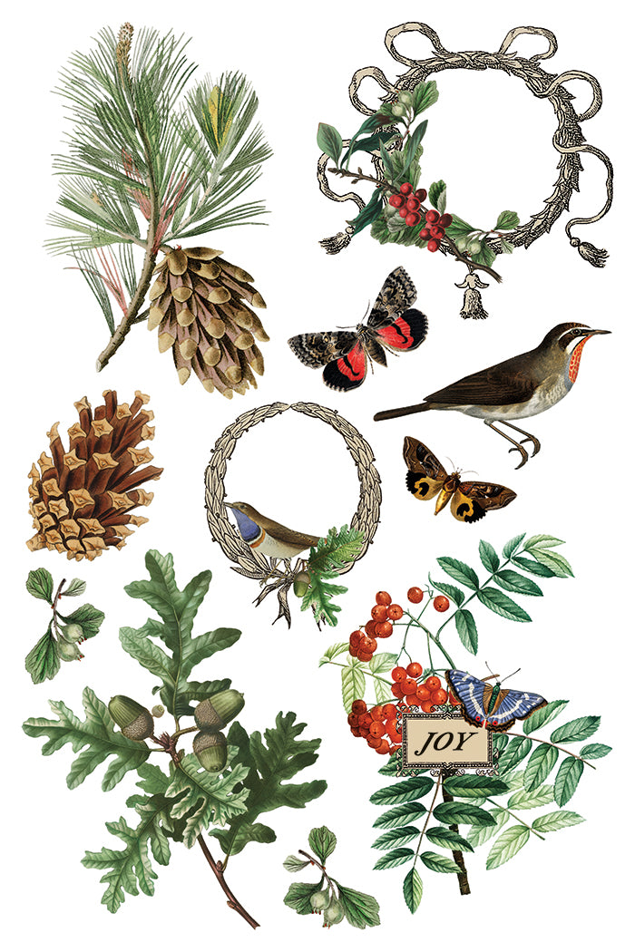 Iron Orchid Designs - Winter Botanist Decor Transfer Pad