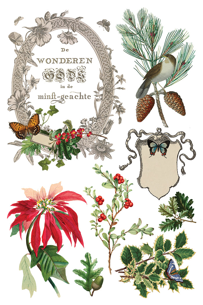 Iron Orchid Designs - Winter Botanist Decor Transfer Pad