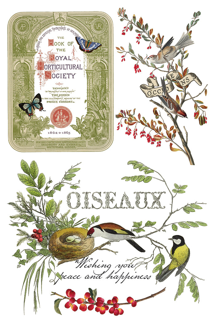 Iron Orchid Designs - Winter Botanist Decor Transfer Pad