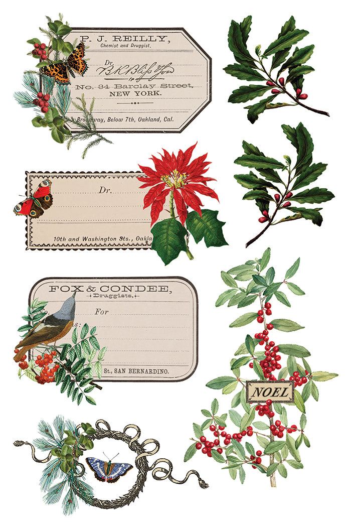 Iron Orchid Designs - Winter Botanist Decor Transfer Pad