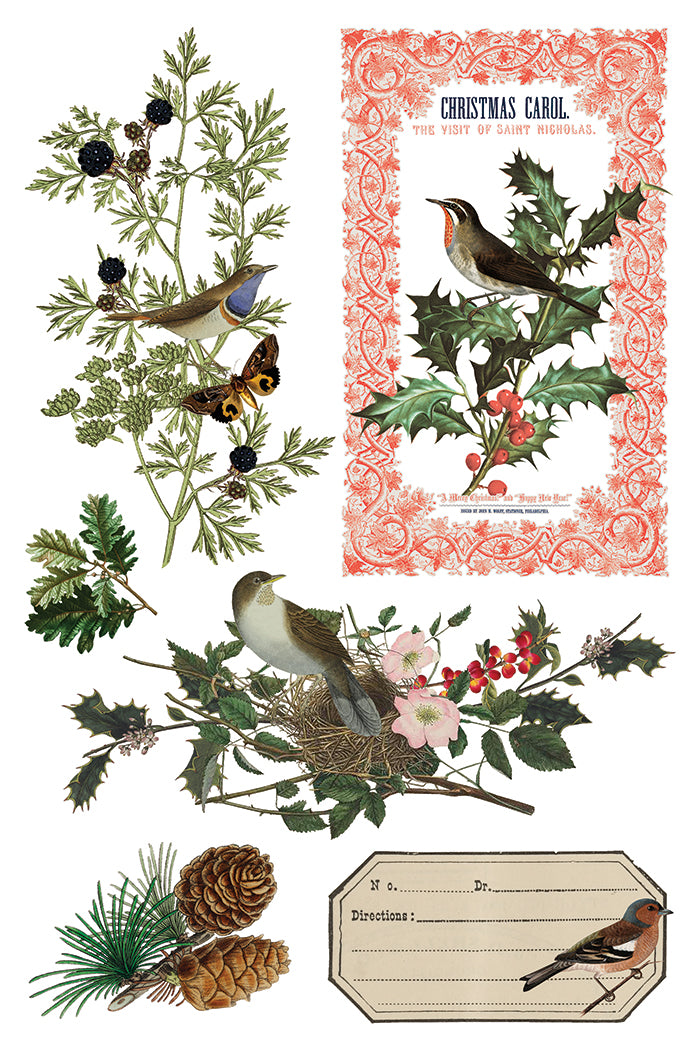 Iron Orchid Designs - Winter Botanist Decor Transfer Pad