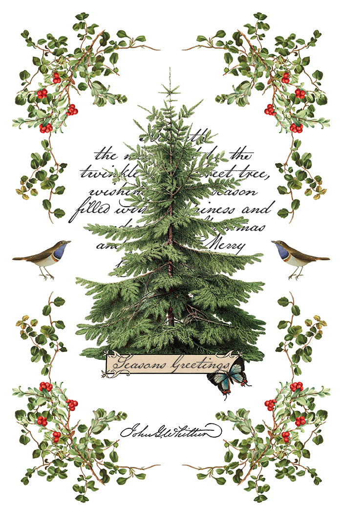 Iron Orchid Designs - Winter Botanist Decor Transfer Pad