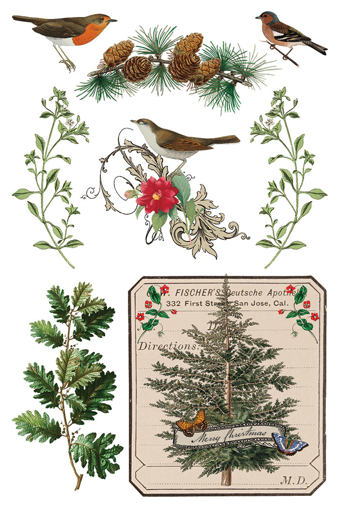 Iron Orchid Designs - Winter Botanist Decor Transfer Pad