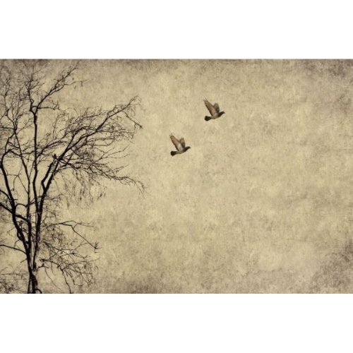 Mint by Michelle - Decoupage Paper - Flying Birds - Rustic River Home