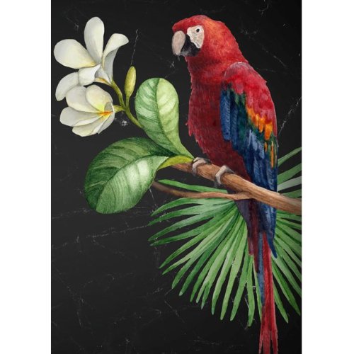 Mint by Michelle - Decoupage Paper - Parrot - Rustic River Home