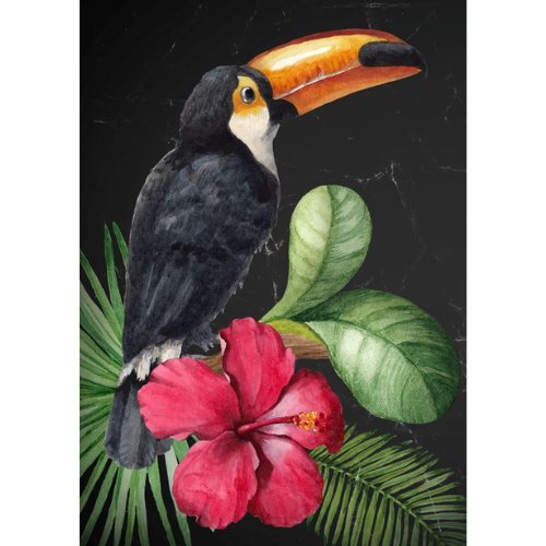 Mint by Michelle - Decoupage Paper - Toucan - Rustic River Home