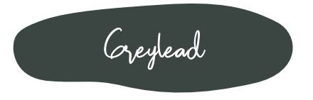 Mint Mineral Paint - Greylead - 500ml - Rustic River Home