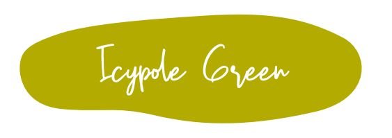 Mint Mineral Paint - Icypole Green - 500ml - Rustic River Home