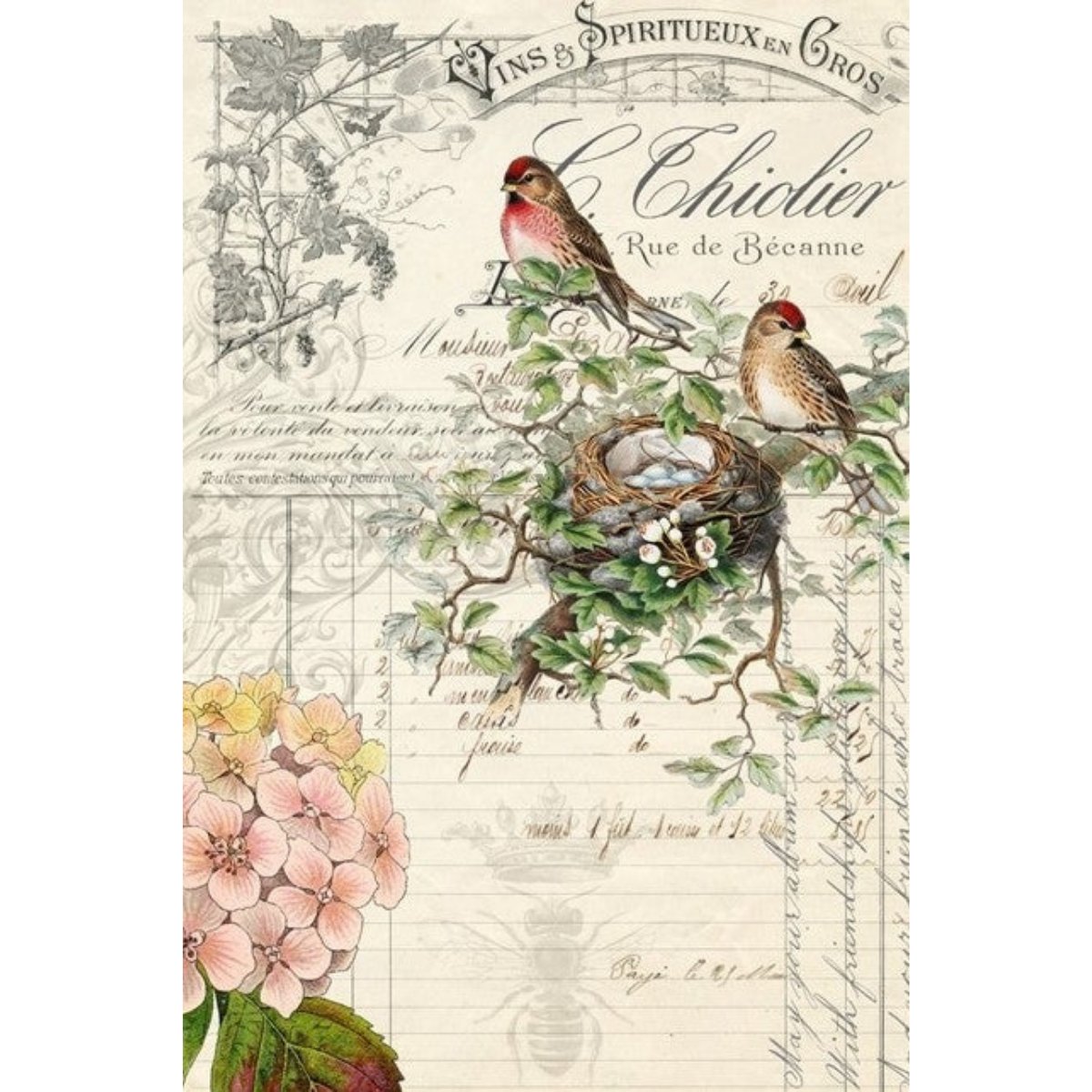 Roycycled Treasures - Bird Ephemera Decoupage Paper - 20x30in - Rustic River Home