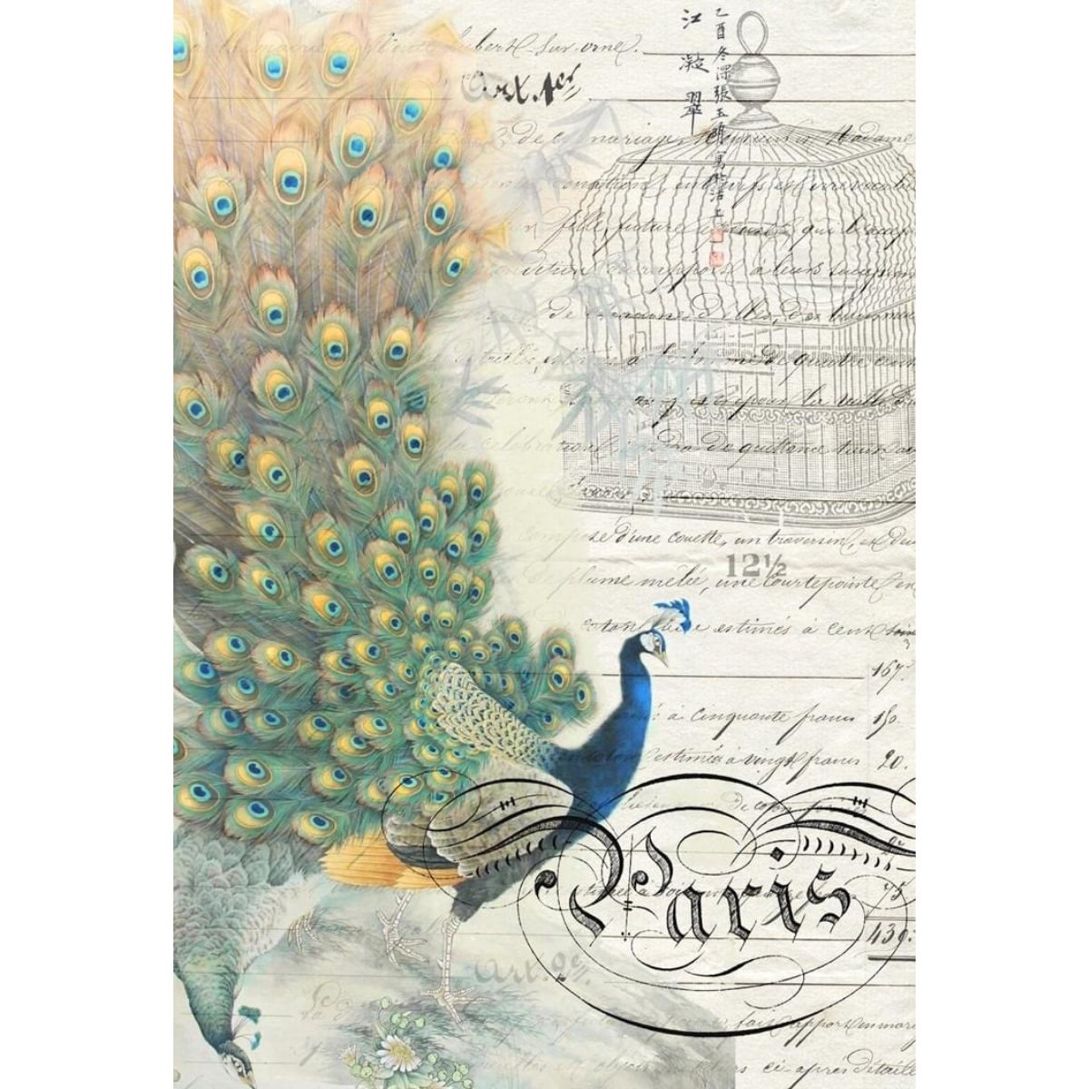 Roycycled Treasures - Peacock Ephemera Left Decoupage Paper - 20 x 30 in - Rustic River Home