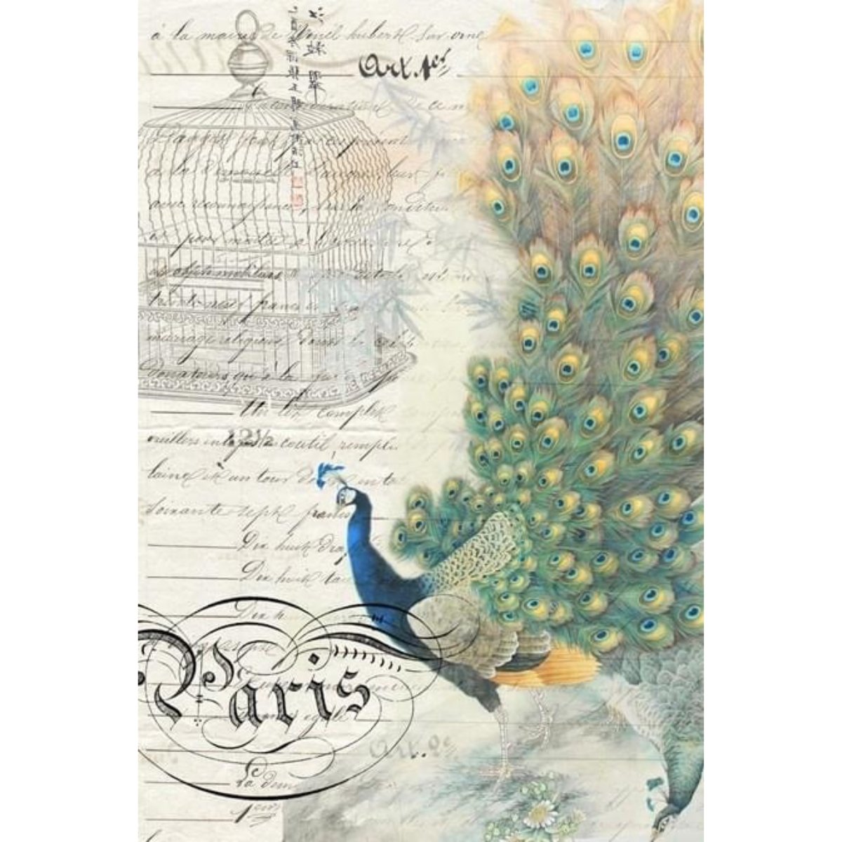 Roycycled Treasures - Peacock Ephemera Right Decoupage Paper - 20 x 30 in - Rustic River Home