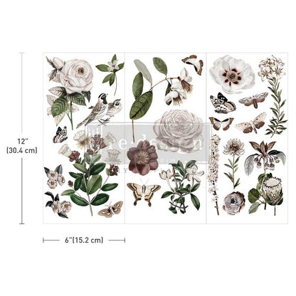 Redesign Decor Transfer - Mini  - Secret Garden