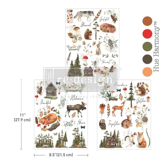 Redesign Decor Transfer - Middy - The Forager's Retreat