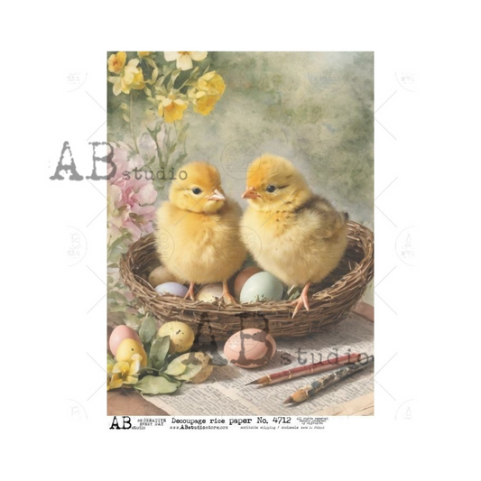 AB Studios - Two Cute Chicks with Eggs