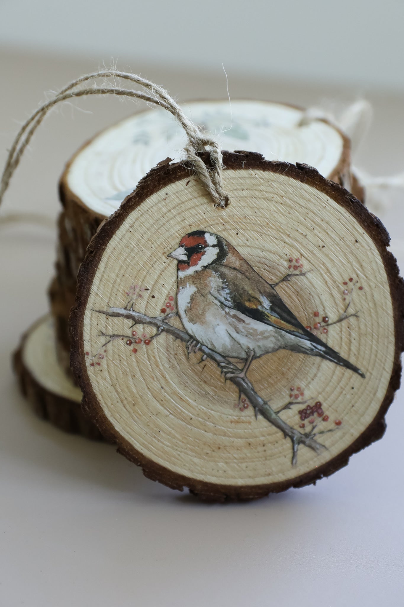 Iron Orchid Designs - The Bramblewood Diaries Decor Transfer Pad