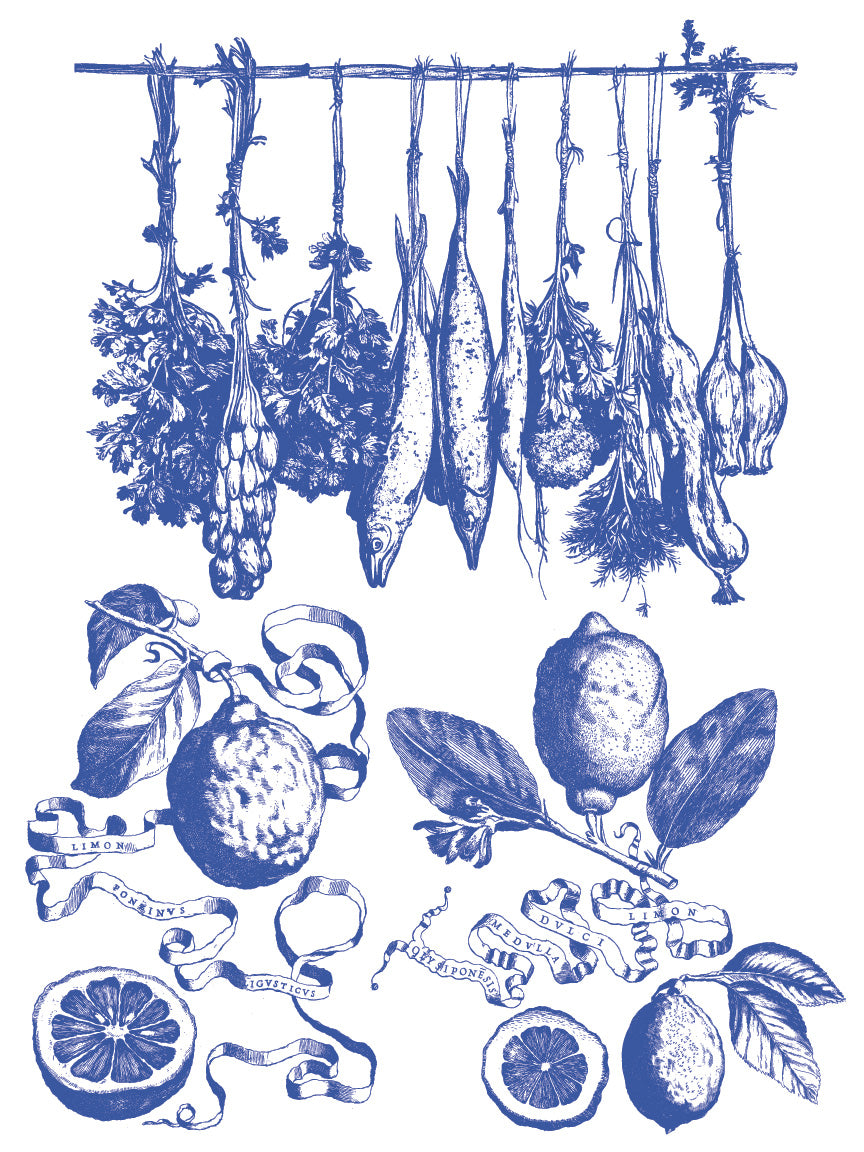 Iron Orchid Designs - Portofino Paint Inlay