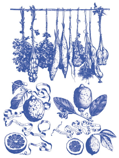 Iron Orchid Designs - Portofino Paint Inlay