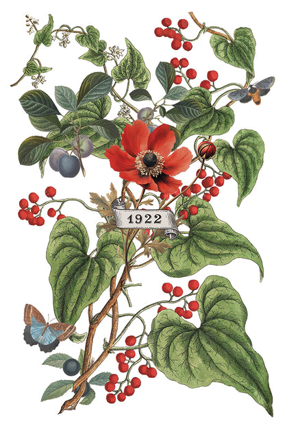Iron Orchid Designs -  Clementine Decor Transfer Pad