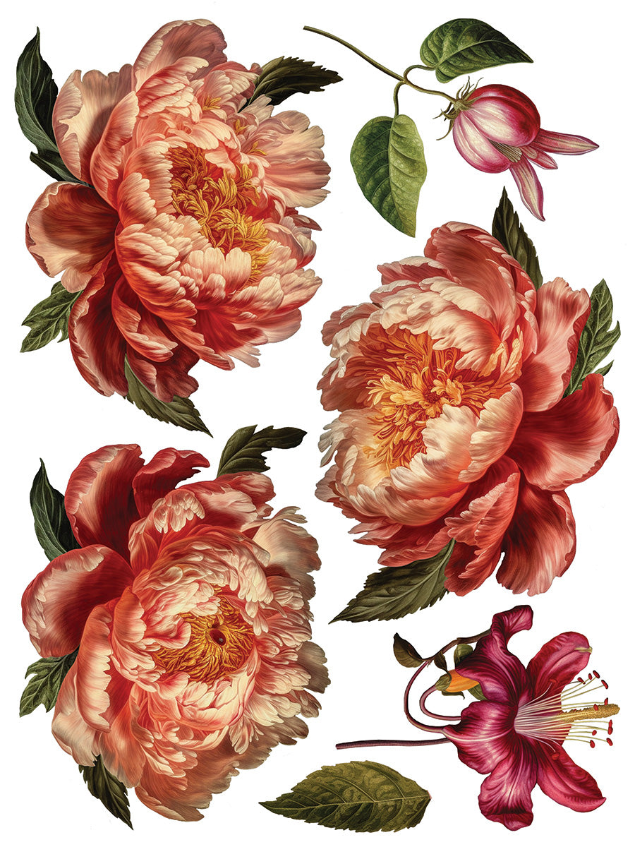 Iron Orchid Designs - Collage De Fleurs Decor Transfer Pad
