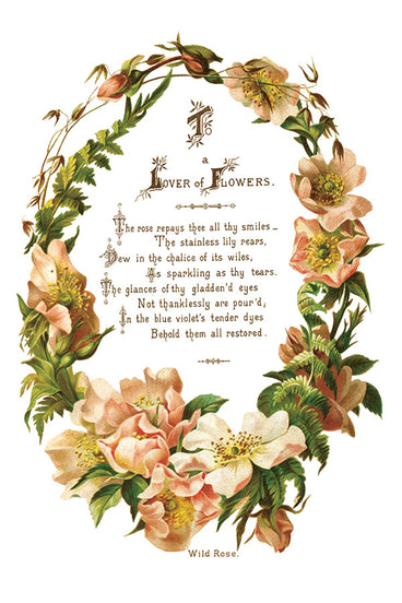 Iron Orchid Designs - Lover of Flowers Decor Transfer Pad