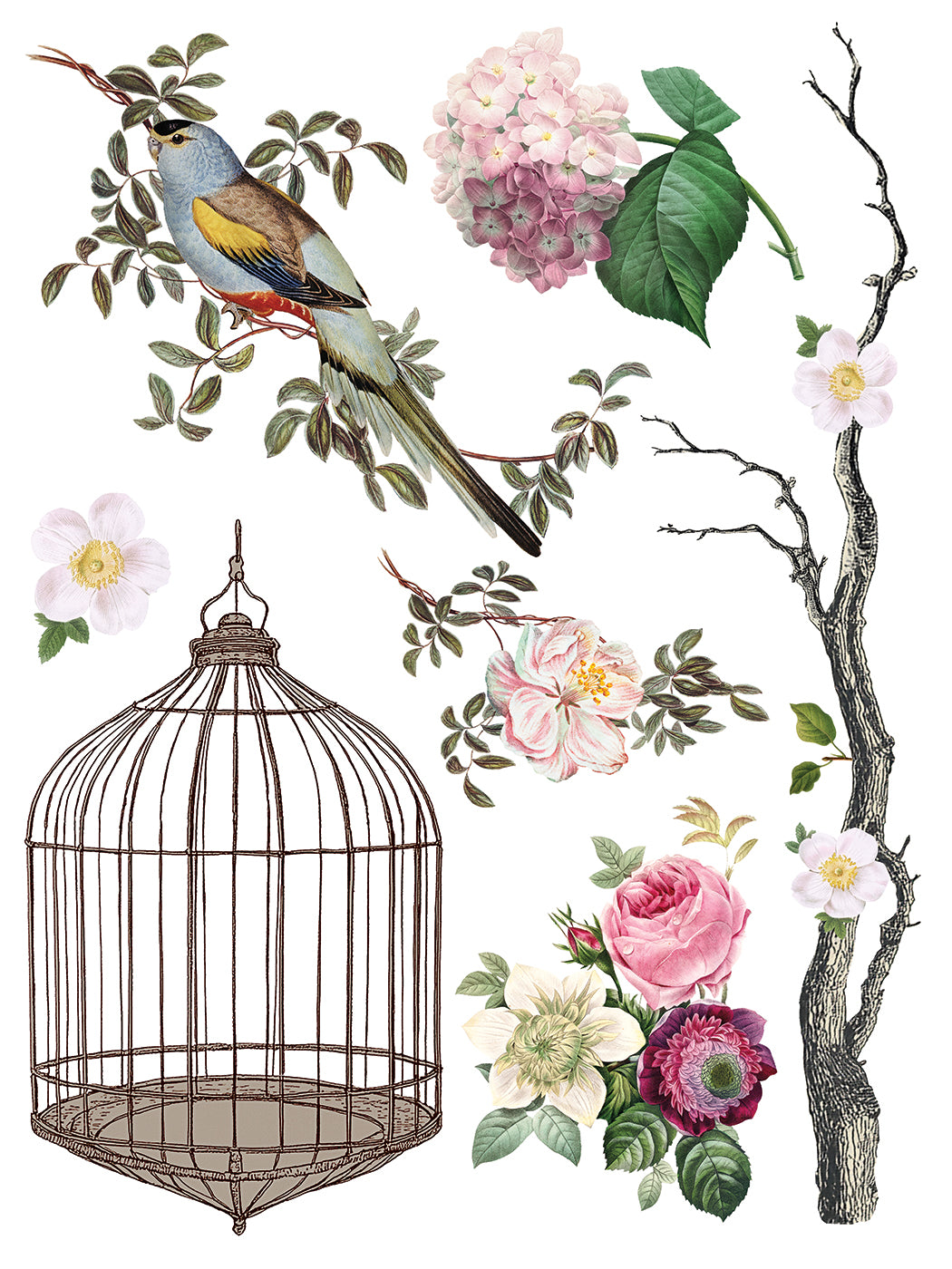 Iron Orchid Designs - Menagerie Decor Transfer Pad