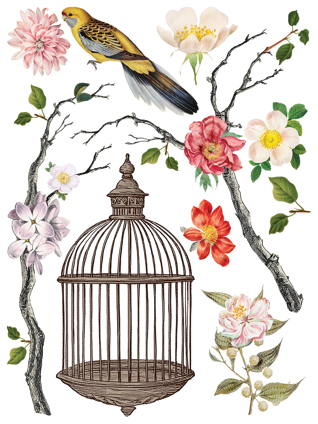 Iron Orchid Designs - Menagerie Decor Transfer Pad