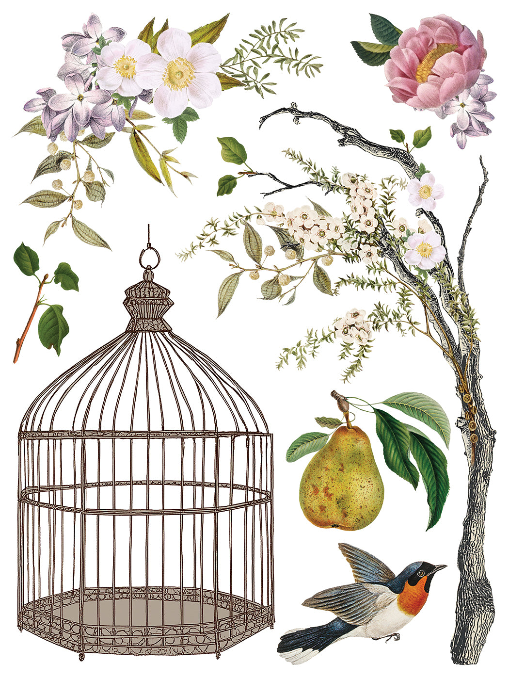 Iron Orchid Designs - Menagerie Decor Transfer Pad