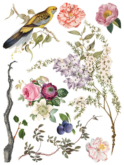 Iron Orchid Designs - Menagerie Decor Transfer Pad