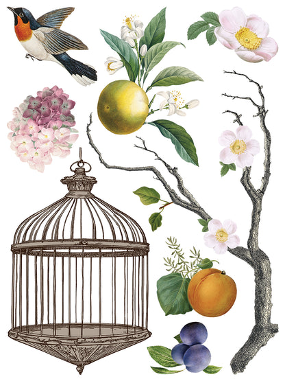 Iron Orchid Designs - Menagerie Decor Transfer Pad