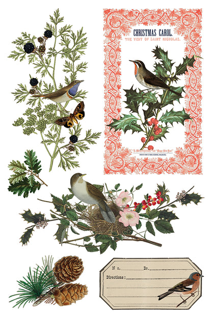 Iron Orchid Designs - Winter Botanist Decor Transfer Pad