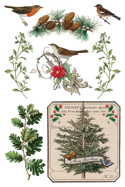 Iron Orchid Designs - Winter Botanist Decor Transfer Pad