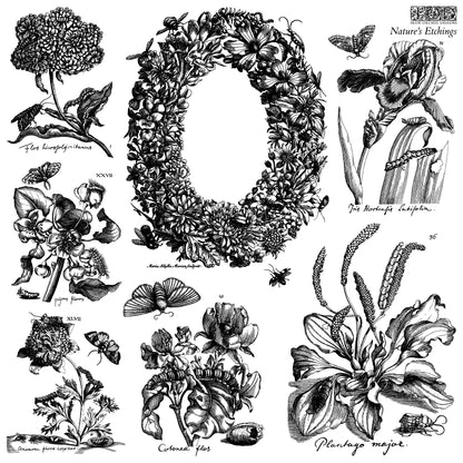 Iron Orchid Designs - Nature's Etchings Decor Stamp