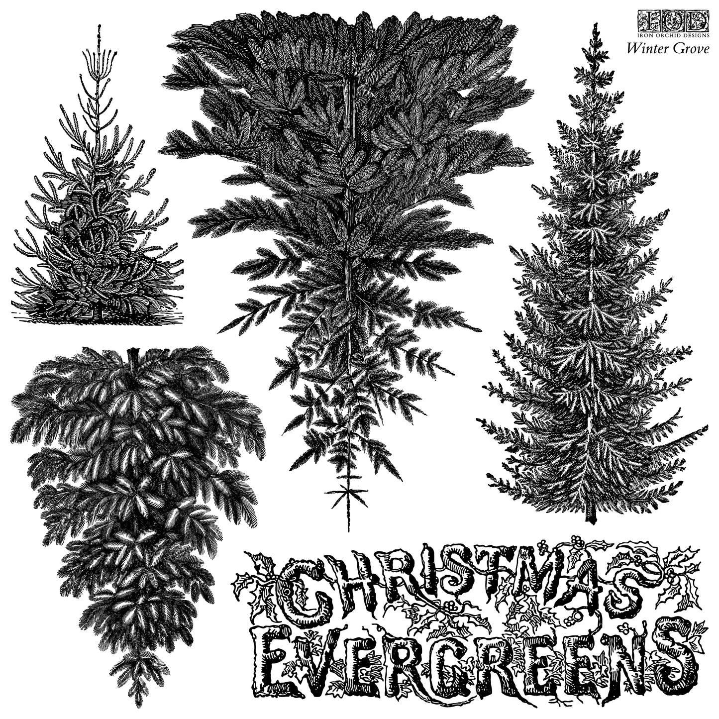 Iron Orchid Designs - Winter Grove Decor Stamp