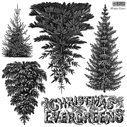 Iron Orchid Designs - Winter Grove Decor Stamp