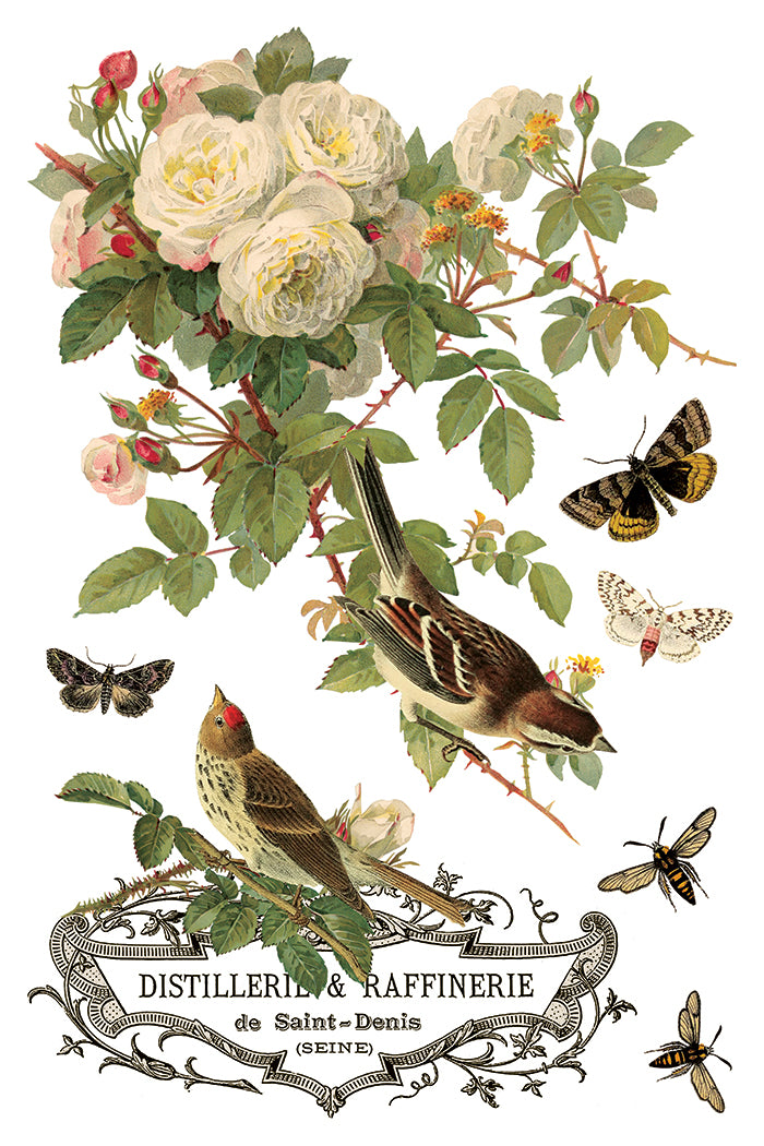 Iron Orchid Designs - By Any Other Name Decor Transfer Pad