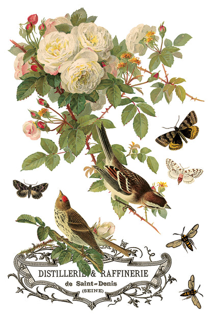 Iron Orchid Designs - By Any Other Name Decor Transfer Pad