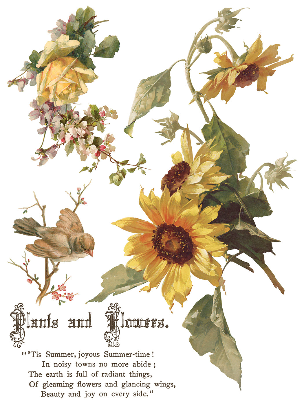 Iron Orchid Designs - Flowers by the Poets Decor Transfer Pad