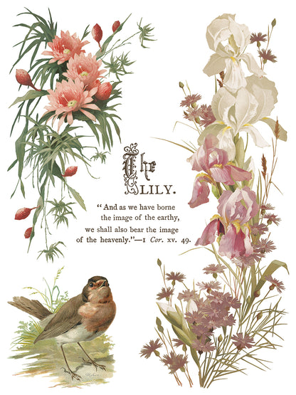 Iron Orchid Designs - Flowers by the Poets Decor Transfer Pad