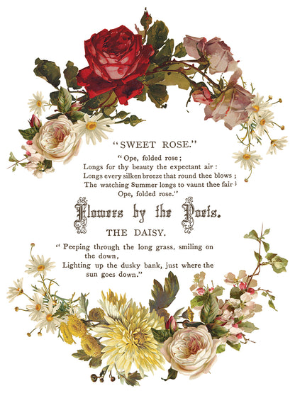 Iron Orchid Designs - Flowers by the Poets Decor Transfer Pad