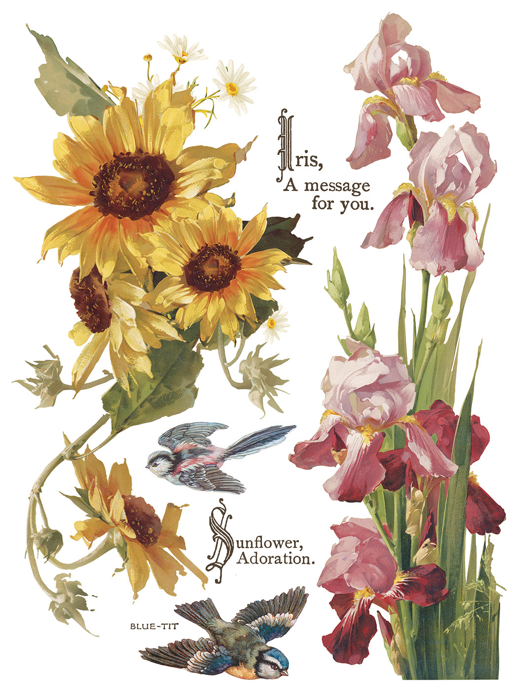 Iron Orchid Designs - Flowers by the Poets Decor Transfer Pad
