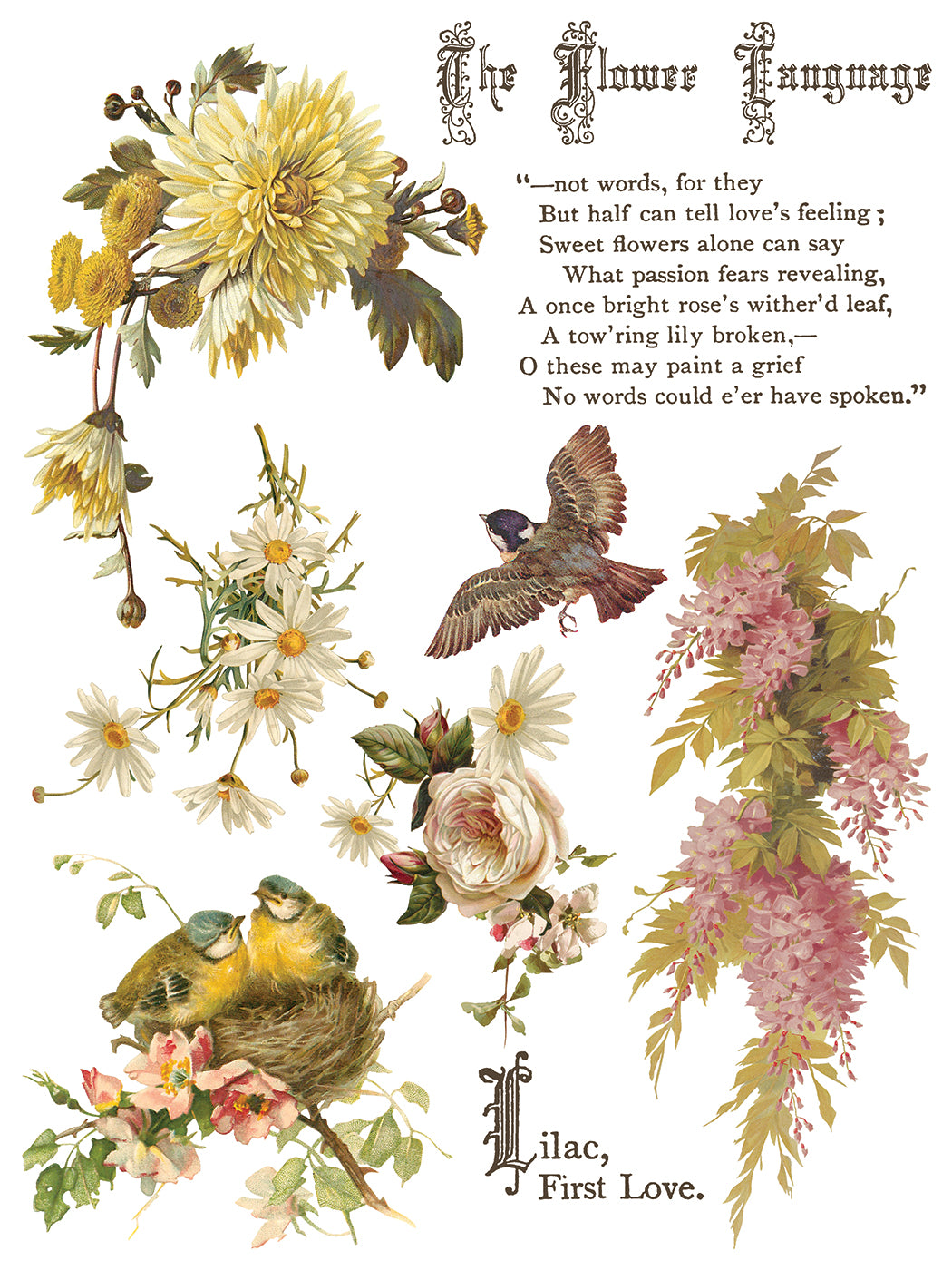 Iron Orchid Designs - Flowers by the Poets Decor Transfer Pad