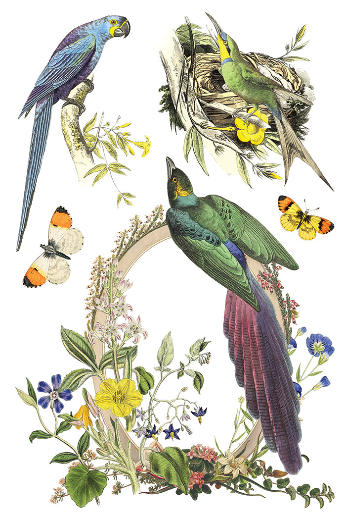 Iron Orchid Designs - Flora Greca Decor Transfer Pad