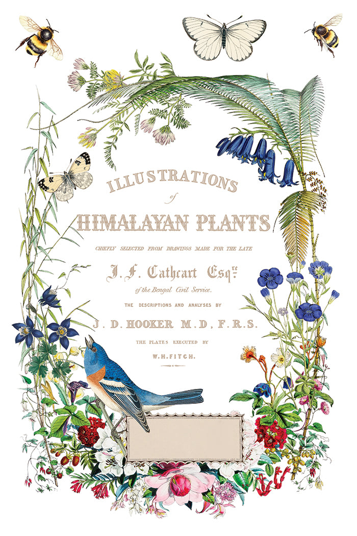 Iron Orchid Designs - Flora Greca Decor Transfer Pad