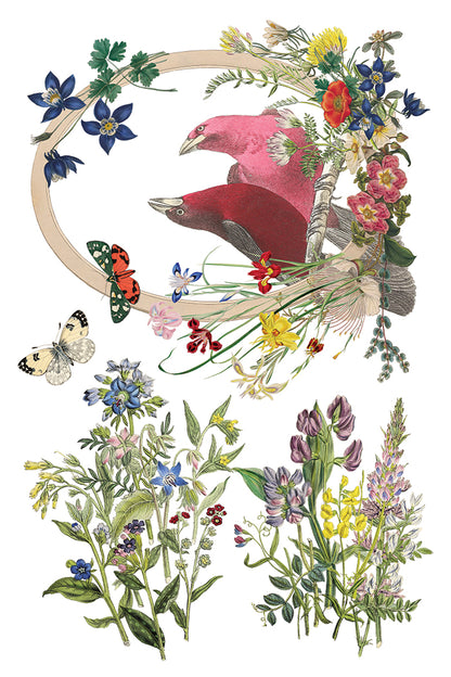 Iron Orchid Designs - Flora Greca Decor Transfer Pad