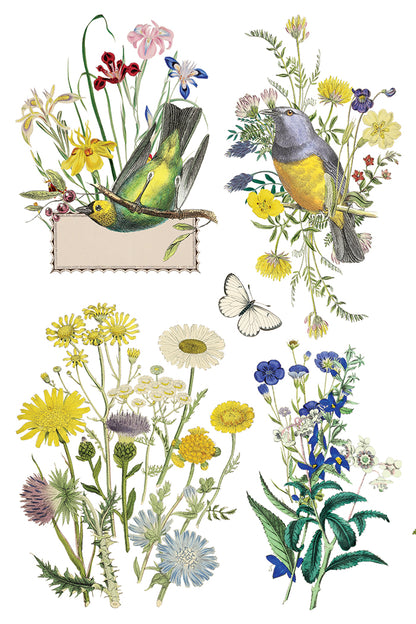 Iron Orchid Designs - Flora Greca Decor Transfer Pad