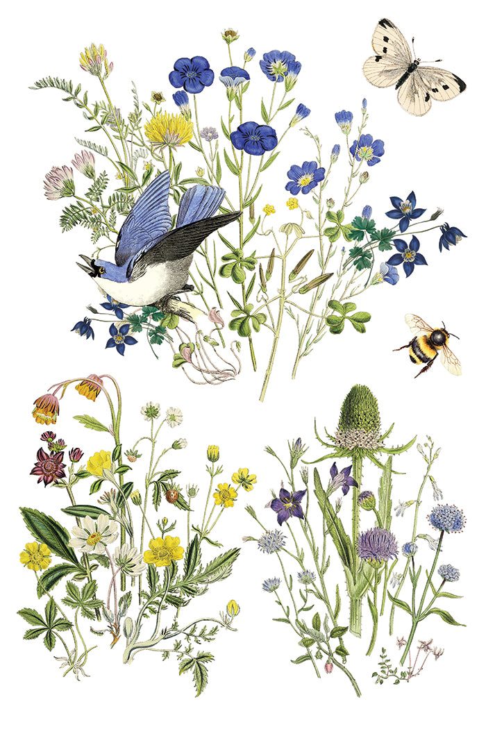 Iron Orchid Designs - Flora Greca Decor Transfer Pad