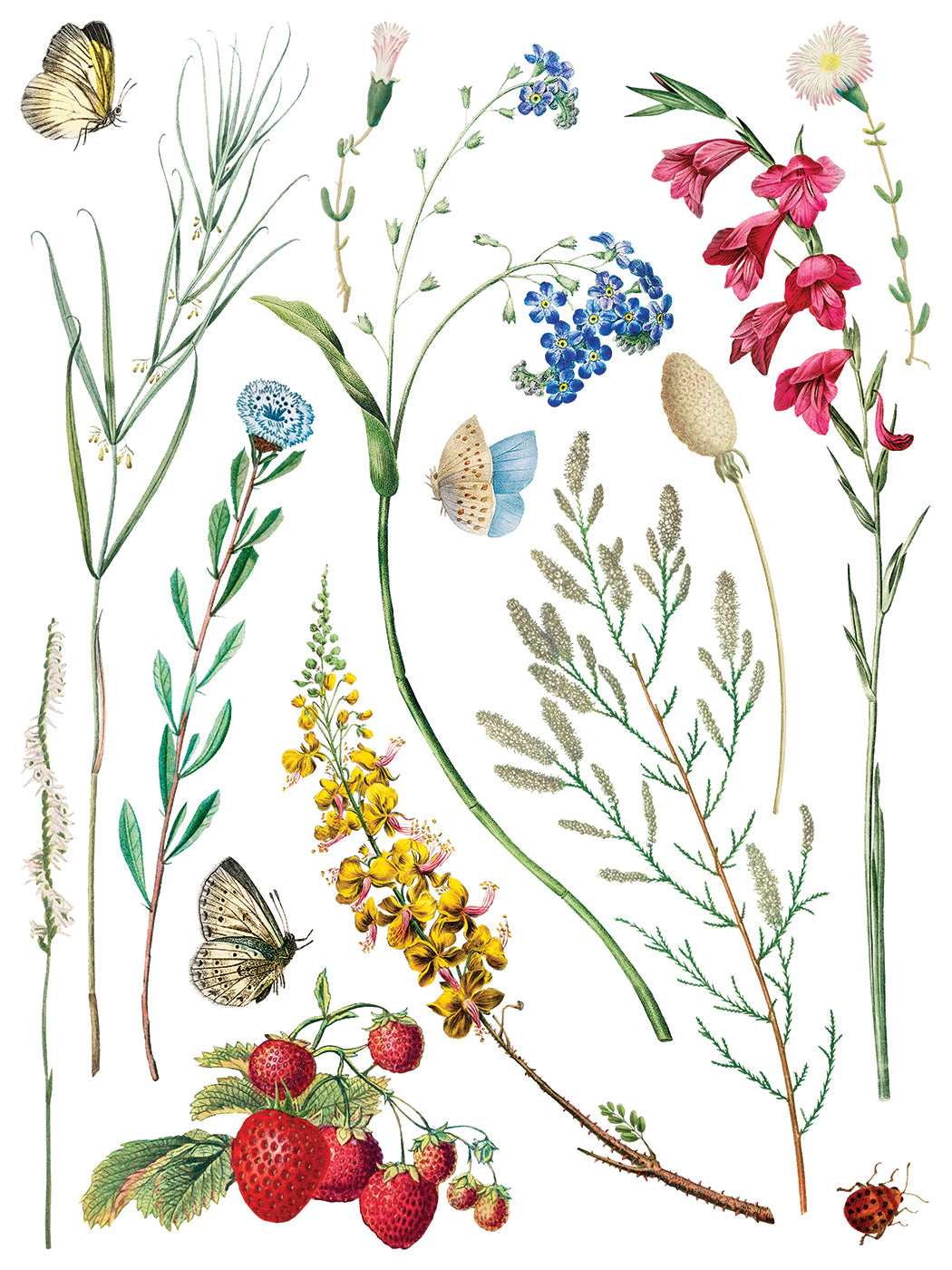 Iron Orchid Designs - Marche des Fleurs Decor Transfer Pad